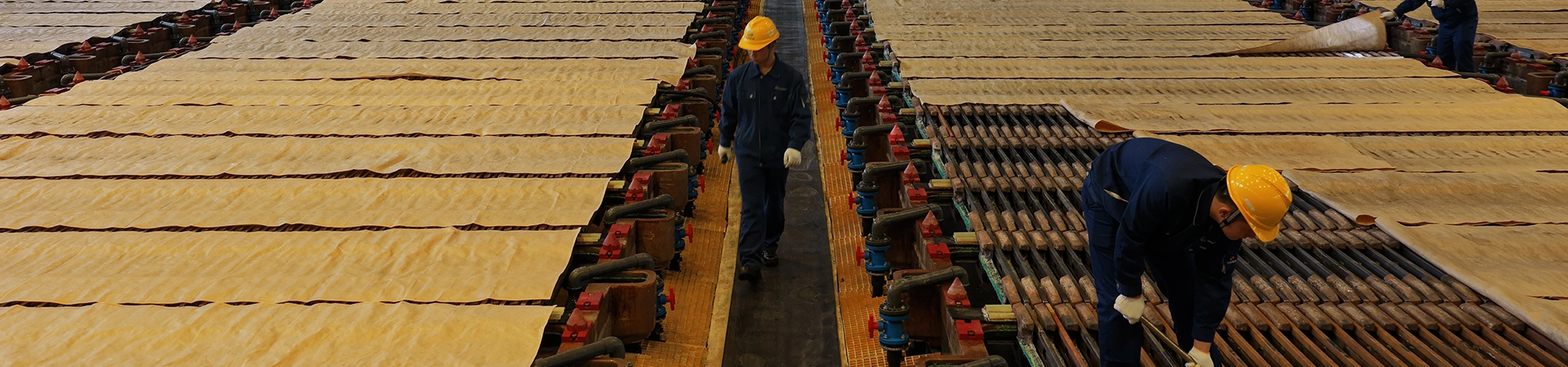 1xBET·Signup(中国区)-官方网站